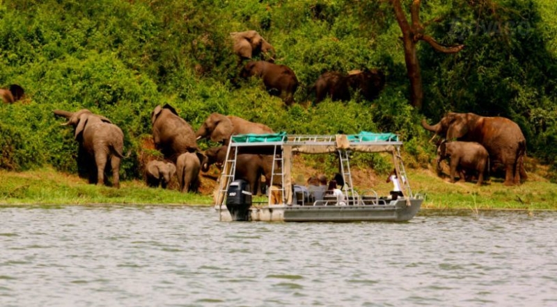 Queen Elizabeth National Park Queen Elizabeth National Park